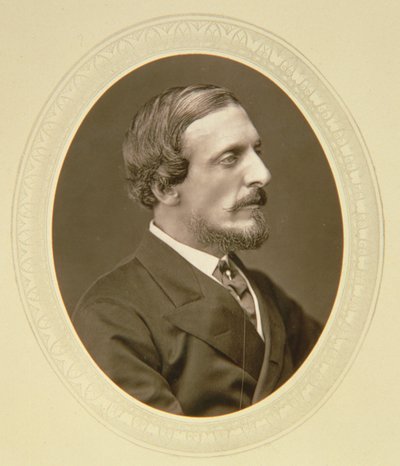 Lord Dufferin (1826-1902) Viceroy of India by English School
